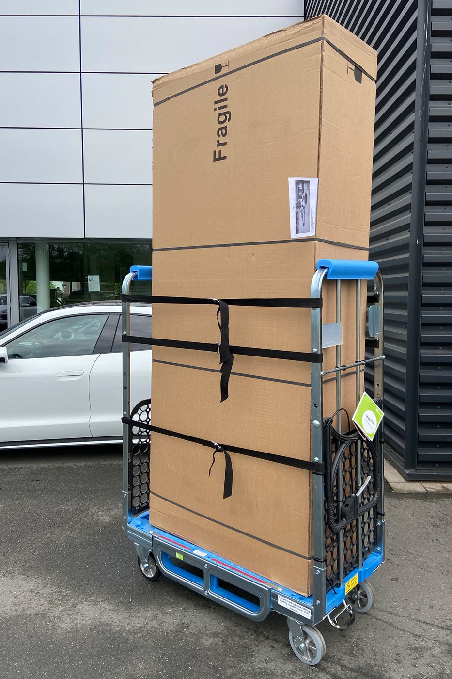 Loggyflex Standard mit großem Karton, mit Zurrgurten gesichert